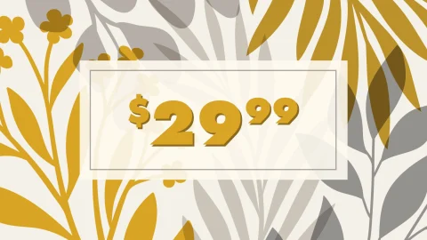 $29.99 & Under Deals