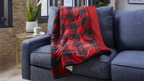 Save And Fall Into Comfort