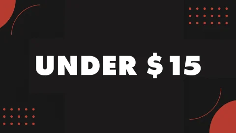 Unexpectedly Good Things Under $15