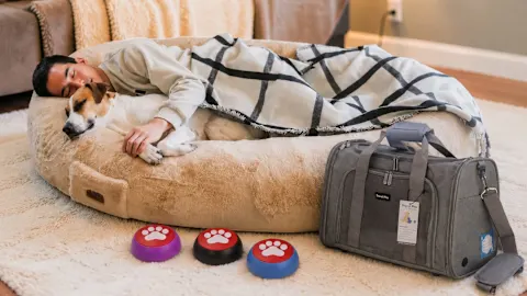 The Pampered Pet Collection