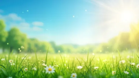 Spring Has Entered the Chat