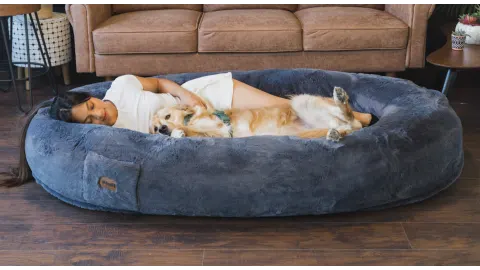 The Dog Bed for Humans