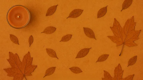 Autumn Stuff for Actual Fall Vibes