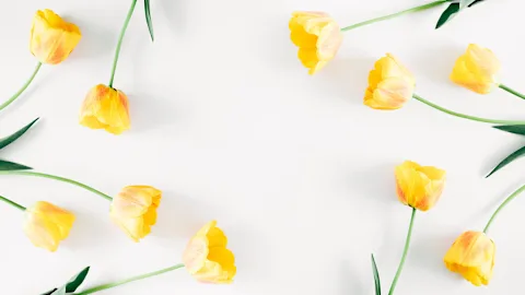 Touch Of ECO Spring Garden Savings