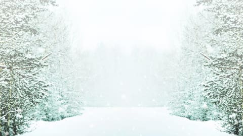 Exceptional Weekend Values