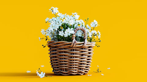 Spring Savings Spree