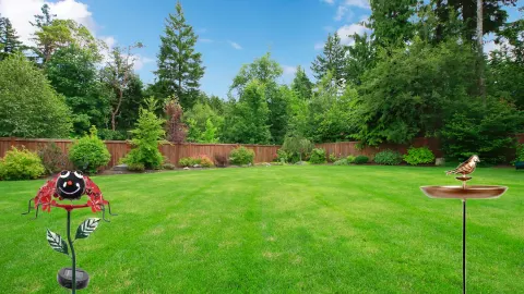 Your Yard Called, It Needs These