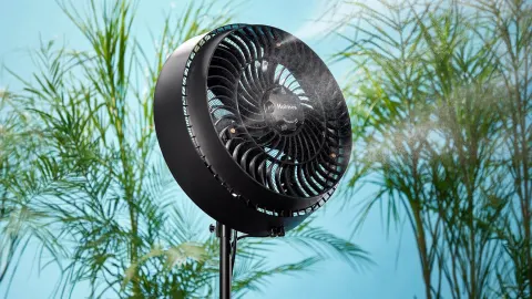 Outdoor & Garden Finds