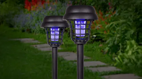 Duo Deals: Save When You Buy More!