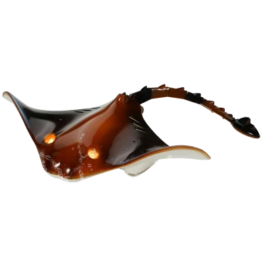 VEVOR Kids RC 2.4 GHz High-Speed Manta Ray