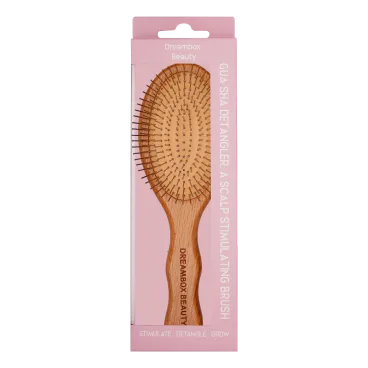 Dreambox Beauty Scalp-Stimulating Gua Sha Detangler Brush