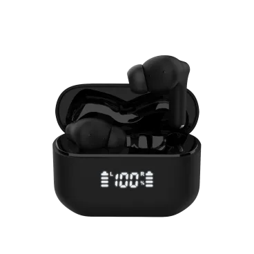 Naztech Xpods ANC True Wireless Earbuds with Charging Case