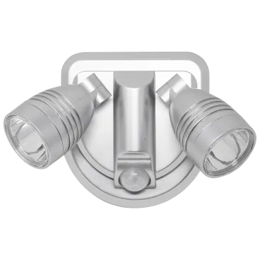 Bright Basics Motion Activated Dual Security Light