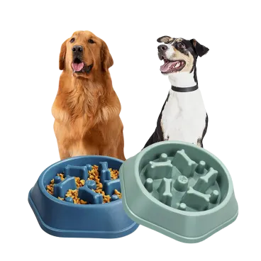 2-Pack: Titan Dog Food & Treats Bowl