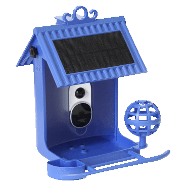 Hello Birdie Comedero Inteligente para Pájaros con Techo Solar y Accesorios