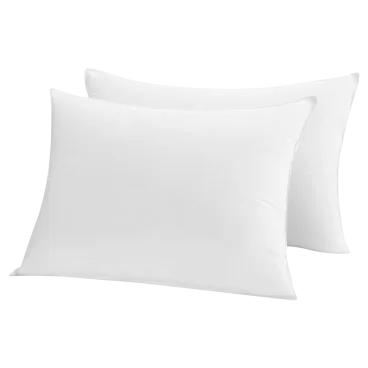 2-Pack: Park Hotel Luxury White Down & Down Alternative Blend Pillow (Queen)
