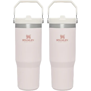 2-Pack: Stanley IceFlow Flip Straw Tumbler with Handle (30oz)