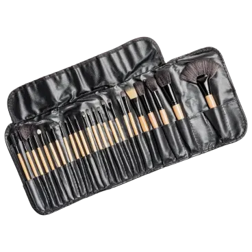 Makeup Brush Studio 24-Piece Set with Travel Case