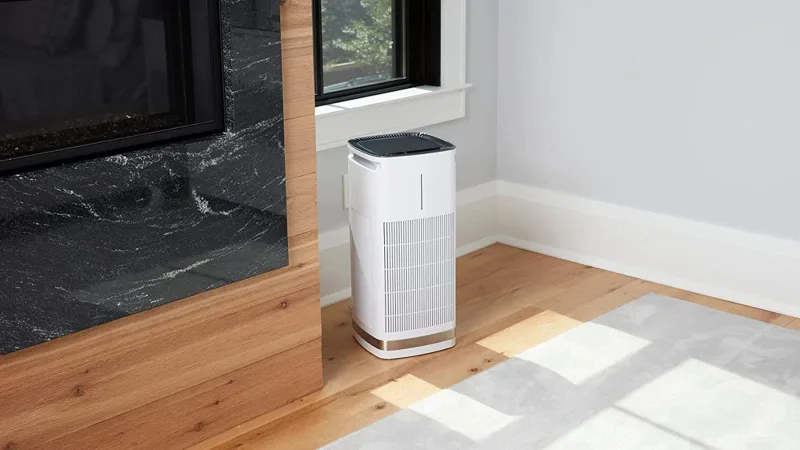 The Freestanding Air Purifier