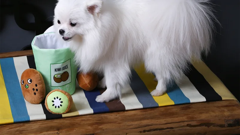 The Interactive Puzzle Plush Dog Toy Set