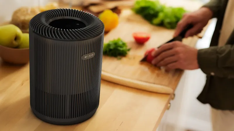 The Mini Air Purifier