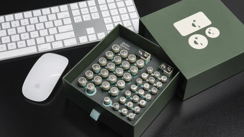 The All-Purpose Household Battery Variety Pack