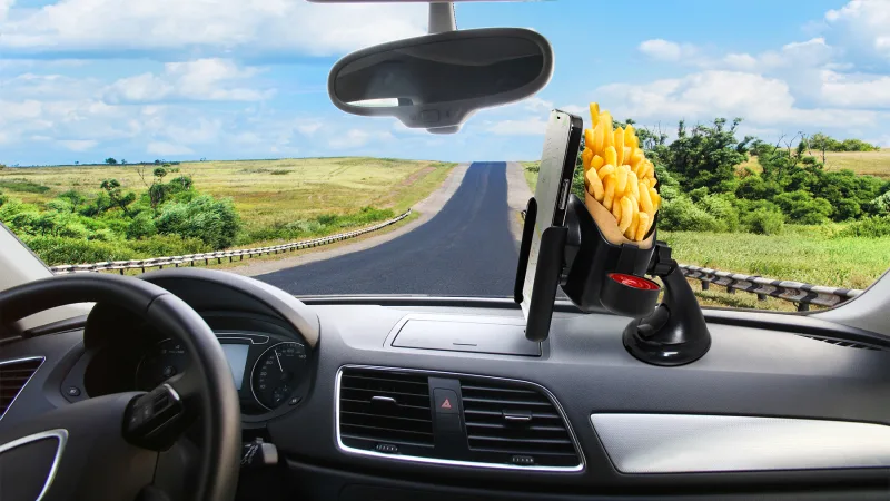 Tech Theory Phone And Food Universal Car Mount