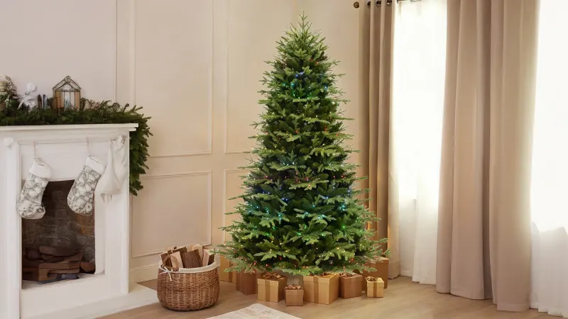 The 7.5' 82 Wonders of Christmas Frasier Fir Tree
