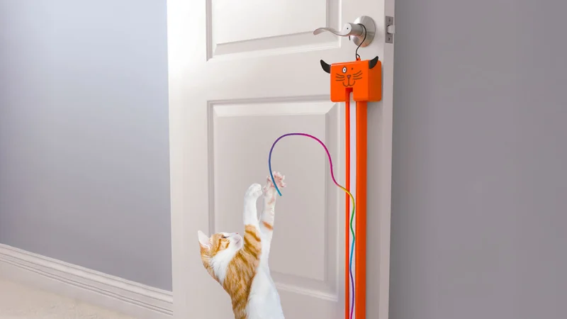 The Award Winning Cat String Toy