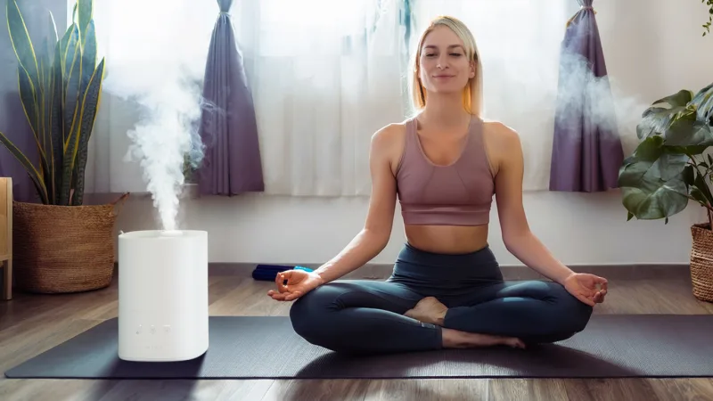 The Effortless Humidifier