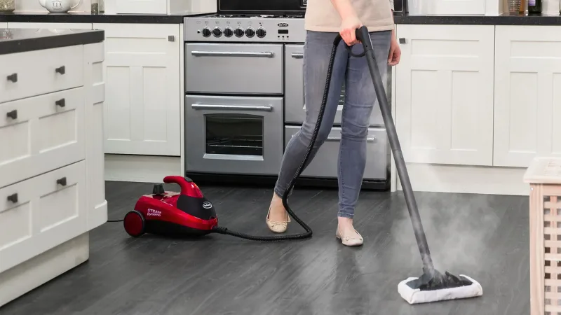 The Compact Versatile Steam Cleaner