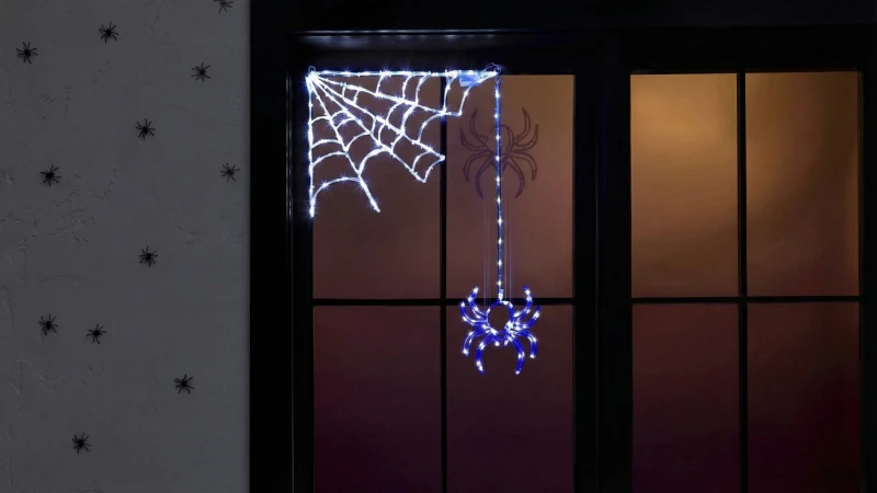 The Animated Hanging Spider with Web