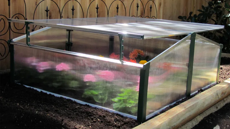The Double Cold Frame