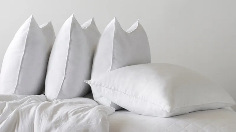 The Ultra-Soft Down-Like Pillows