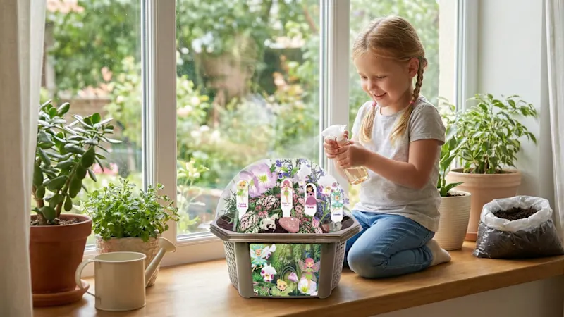 The Children's Grow Your Own Fairy Garden