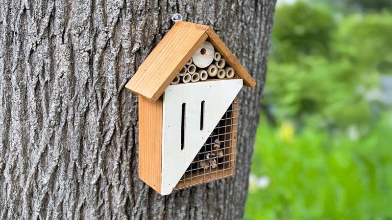 The Three-Compartment Hanging Insect Home