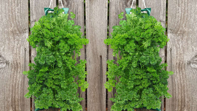 Touch Of ECO Organic Hanging Seed Bag With Soil Block Kit