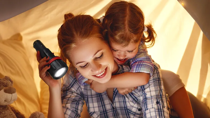 2-Pack: Space & Home ReadyBright Portable Ultra Bright Flashlight