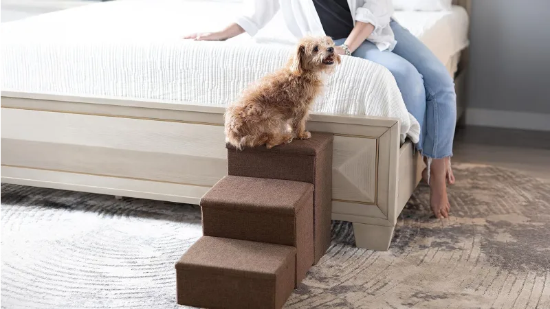 The Modular Pet Stairs