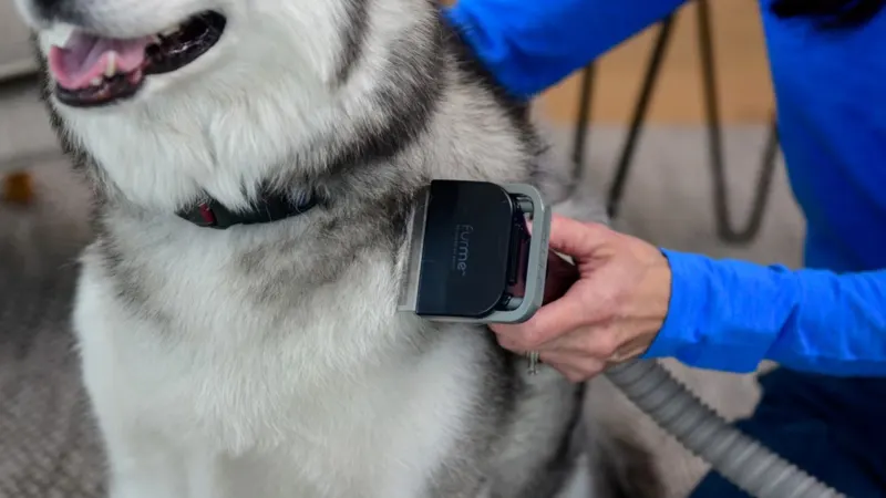 The No-Cleanup Pet Grooming System