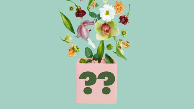10-Piece Premium Spring Mystery Bundle