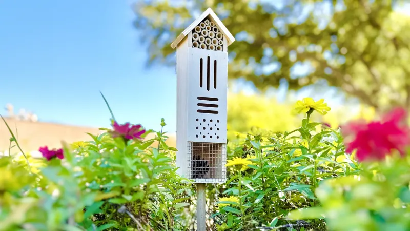 The Five Compartment Pollination Palace
