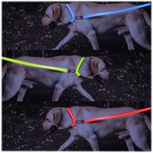 4ID LED Dog Leash & Collar Combo