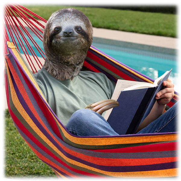 Meh Best Choice Products 2Person Hammock w/Stand and Carry Bag (or