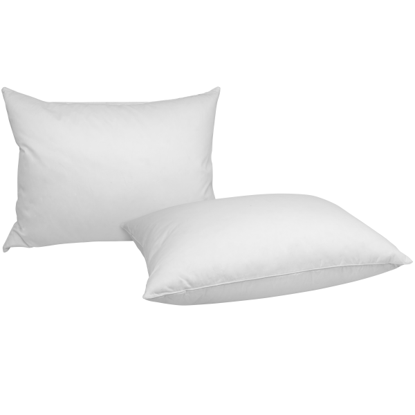 2-for-Tuesday: iEnjoy Down Pillows (Standard or King)