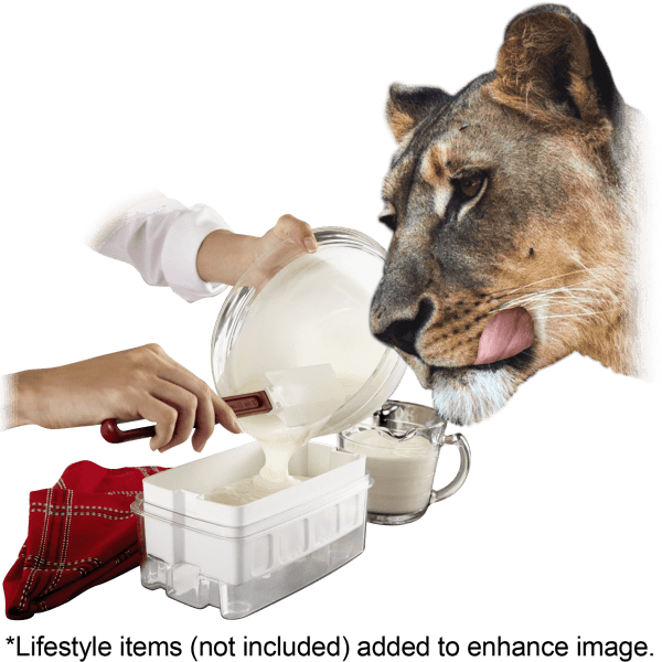 Meh Oster Mykonos Greek Yogurt Maker