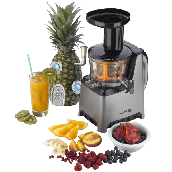 Meh Fagor Platino Plus Slow Juicer and Sorbet Maker