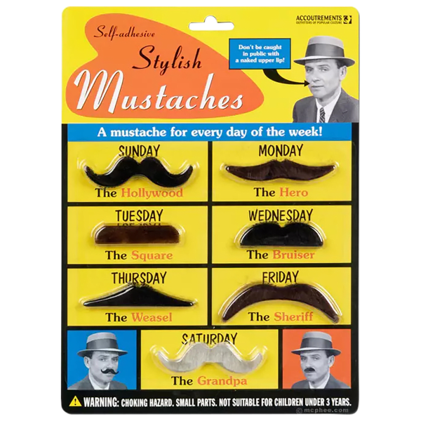 Stylish Mustache Kit