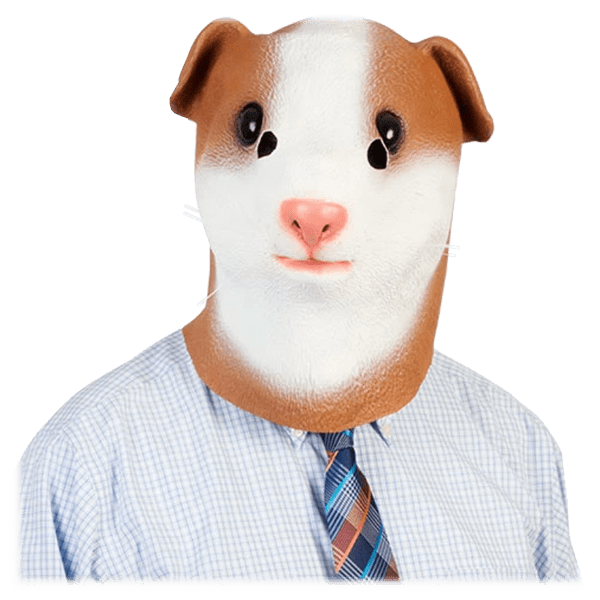 Guinea Pig Mask