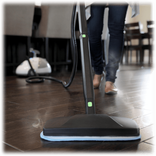 Meh Steamfast SF275 HeavyDuty Canister Sanitizing Steam Cleaner